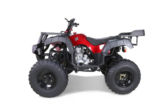 Taotao 250 Rhino Adult Utility ATV - Ezonesglobal - Buy at Wine Coolers Online