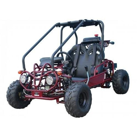 Taotao GK110 Kids Gas Go Kart Dune Buggy - Ezonesglobal - Buy at Wine Coolers Online