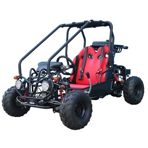 Taotao GK110 Kids Gas Go Kart Dune Buggy - Ezonesglobal - Buy at Wine Coolers Online