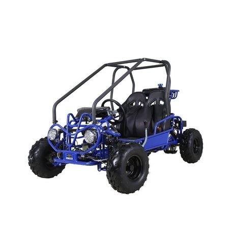 Taotao GK110 Kids Gas Go Kart Dune Buggy - Ezonesglobal - Buy at Wine Coolers Online