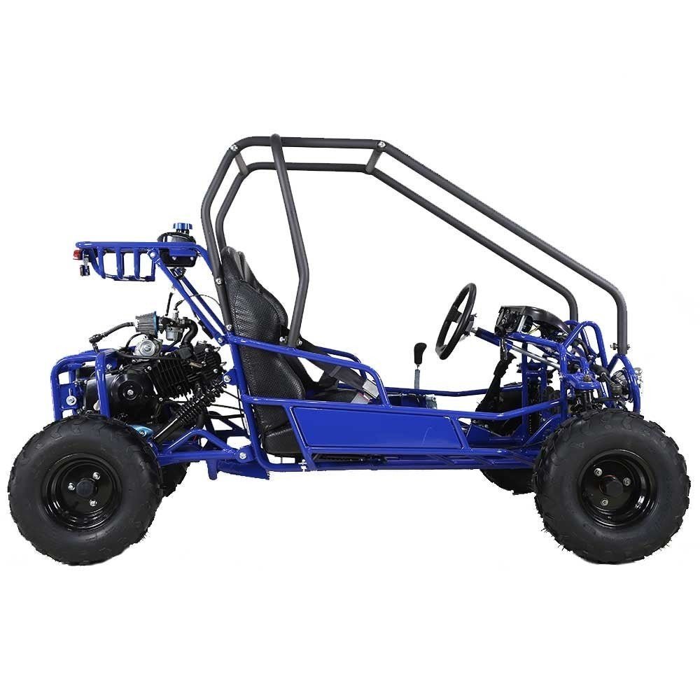 Taotao GK110 Kids Gas Go Kart Dune Buggy - Ezonesglobal - Buy at Wine Coolers Online