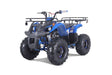 TaoTao T - Force T125 4 - Wheeler All - Terrain Vehicle ATV - Ezonesglobal - Buy at Wine Coolers Online