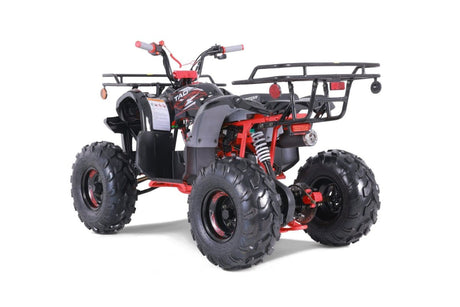 TaoTao T - Force T125 4 - Wheeler All - Terrain Vehicle ATV - Ezonesglobal - Buy at Wine Coolers Online