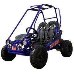 Trailmaster Mini XRX+ 2 - Seater GO - KART EAGLE SERIES 163cc Blue - Ezonesglobal - Buy at Wine Coolers Online