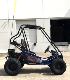 Trailmaster Mini XRX+ 2 - Seater GO - KART EAGLE SERIES 163cc Blue - Ezonesglobal - Buy at Wine Coolers Online