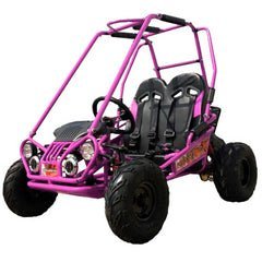 Trailmaster Mini XRX+ 2 - Seater GO - KART EAGLE SERIES 163cc Blue - Ezonesglobal - Buy at Wine Coolers Online