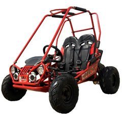 Trailmaster Mini XRX+ 2 - Seater GO - KART EAGLE SERIES 163cc Blue - Ezonesglobal - Buy at Wine Coolers Online