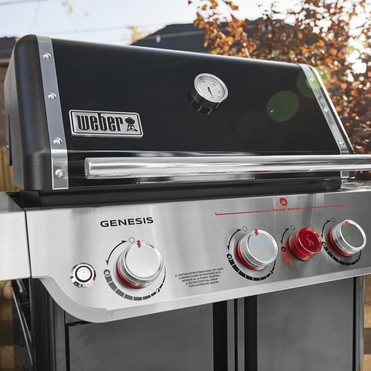 Weber Grills Genesis Freestanding Gas Grill - Ezonesglobal - Buy at Wine Coolers Online