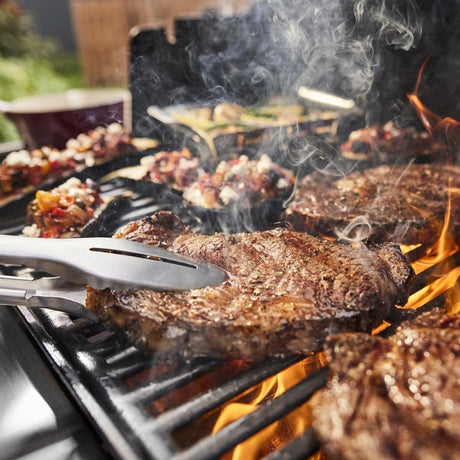 Weber Grills Genesis Freestanding Gas Grill - Ezonesglobal - Buy at Wine Coolers Online