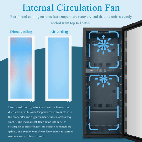 Lanbo 20 Inch 64 Bottle Dual Zone Freestanding Wine Cooler - LW80D - Lanbo - Buy at Wine Coolers Online