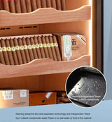 Raching Climate Controlled Cigar Humidor C150A - Raching - Buy at Wine Coolers Online