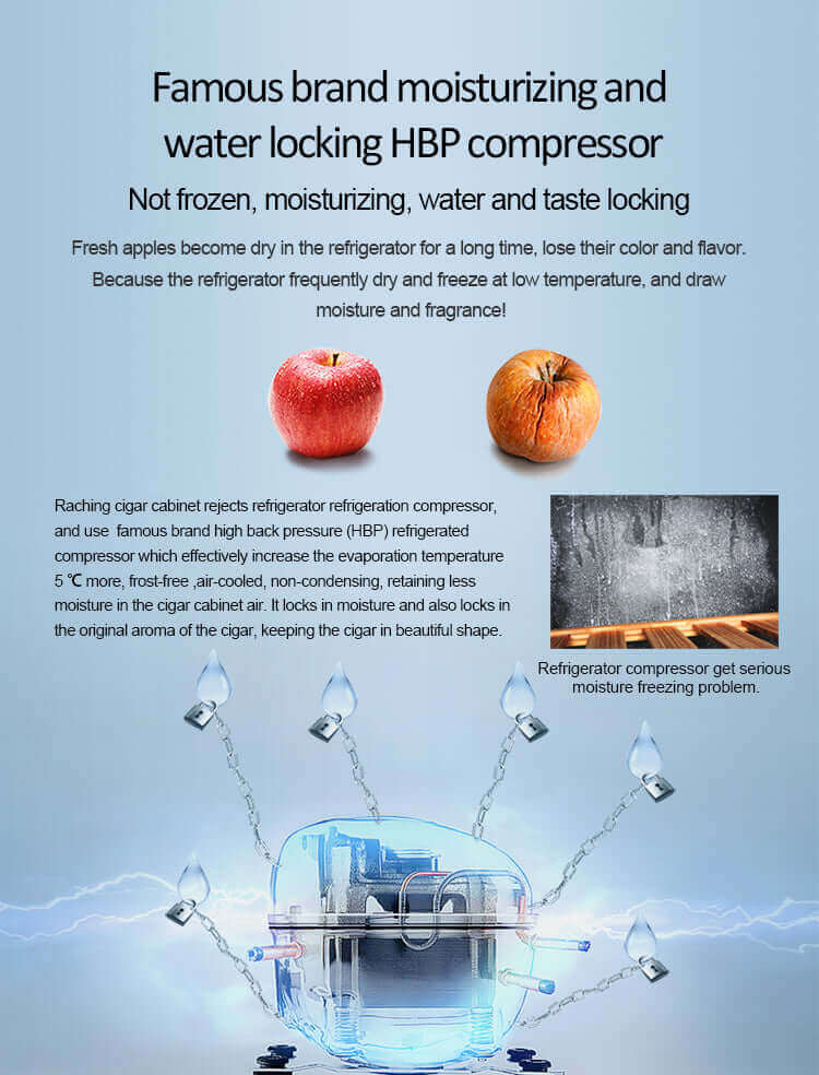 Raching Climate Controlled Cigar Humidor C150A - Raching - Buy at Wine Coolers Online