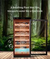 Raching Climate Controlled Cigar Humidor C230A - Raching - Buy at Wine Coolers Online