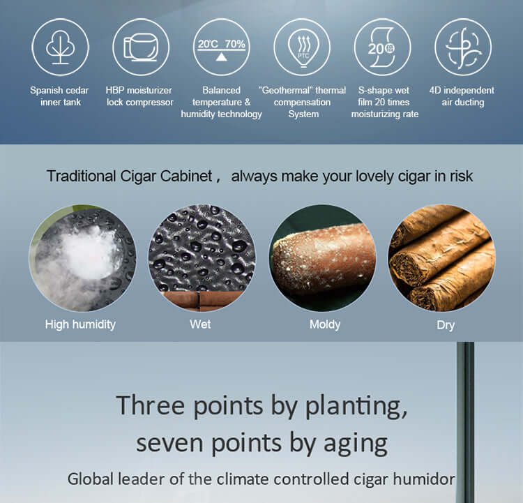 Raching Climate Controlled Cigar Humidor C330A - Raching - Buy at Wine Coolers Online