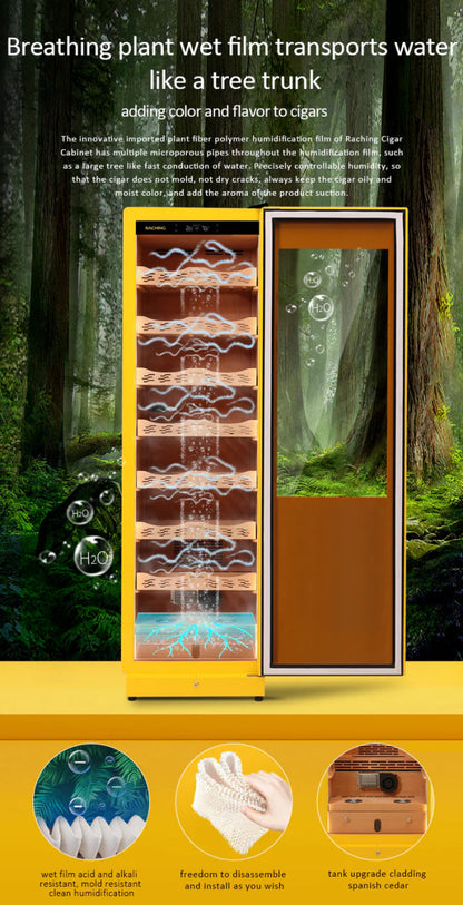 Raching COH300A Premium Oak Cigar Humidor Cabinet | 1100+ Cigars - Raching - Buy at Wine Coolers Online