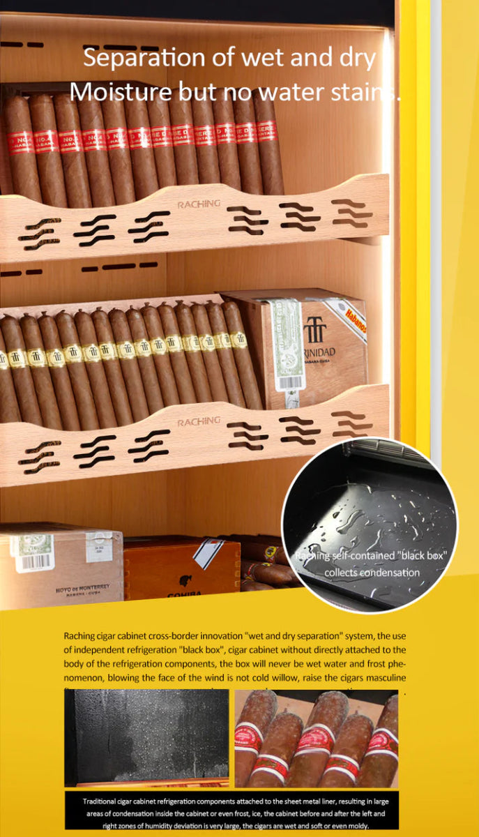 Raching COH300A Premium Oak Cigar Humidor Cabinet | 1100+ Cigars - Raching - Buy at Wine Coolers Online
