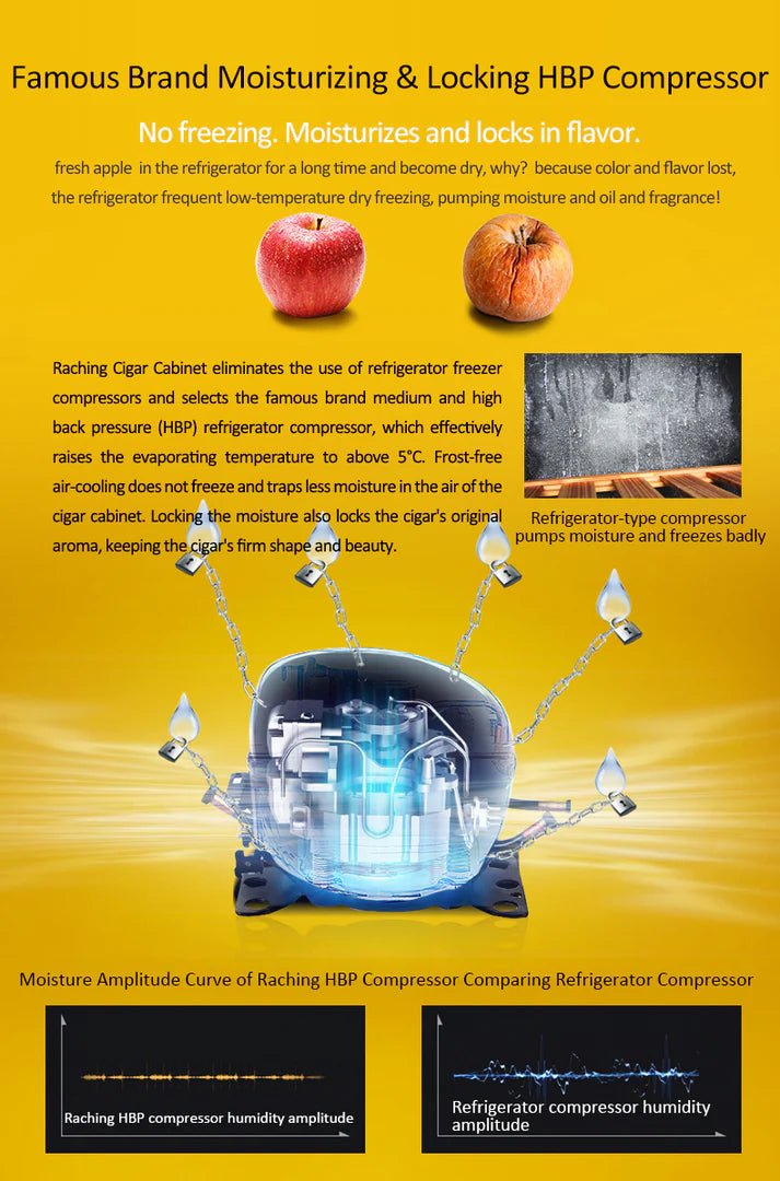 Raching COH300A Premium Oak Cigar Humidor Cabinet | 1100+ Cigars - Raching - Buy at Wine Coolers Online