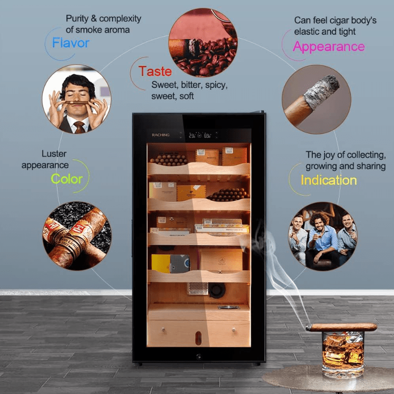 Raching MA50 Electric Humidor Cabinet | 500 Cigars - Raching - Buy at Wine Coolers Online
