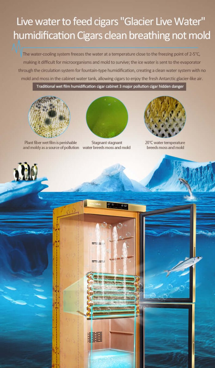 Raching MON3800B Precision Climate Controlled Cigar Humidor Cabinet - Raching - Buy at Wine Coolers Online